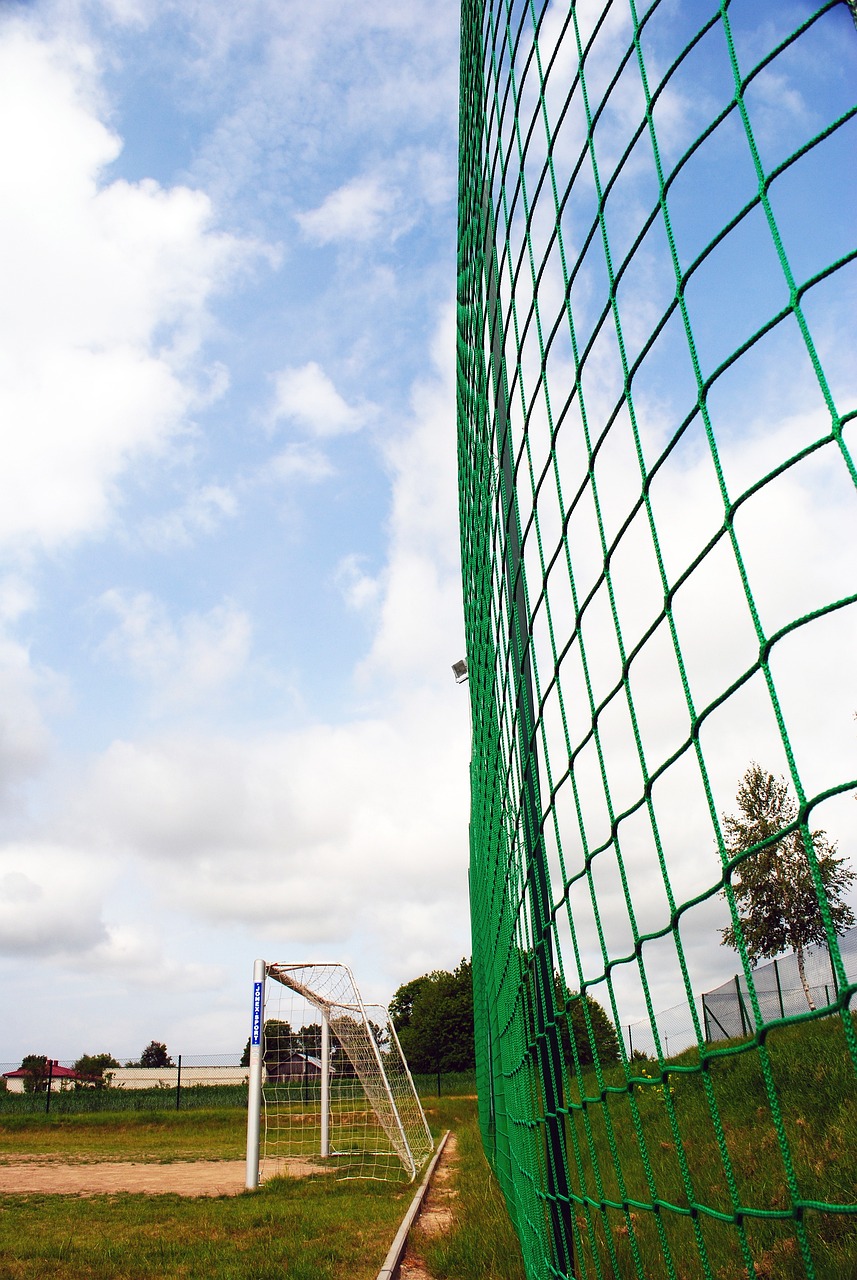 全球球迷的 全球球迷的