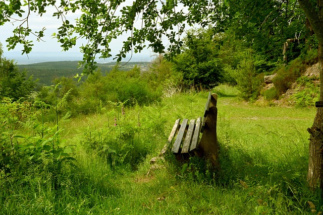 敢打敢拼的 敢打敢拼的